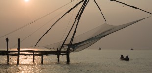 Nets, Cochin
